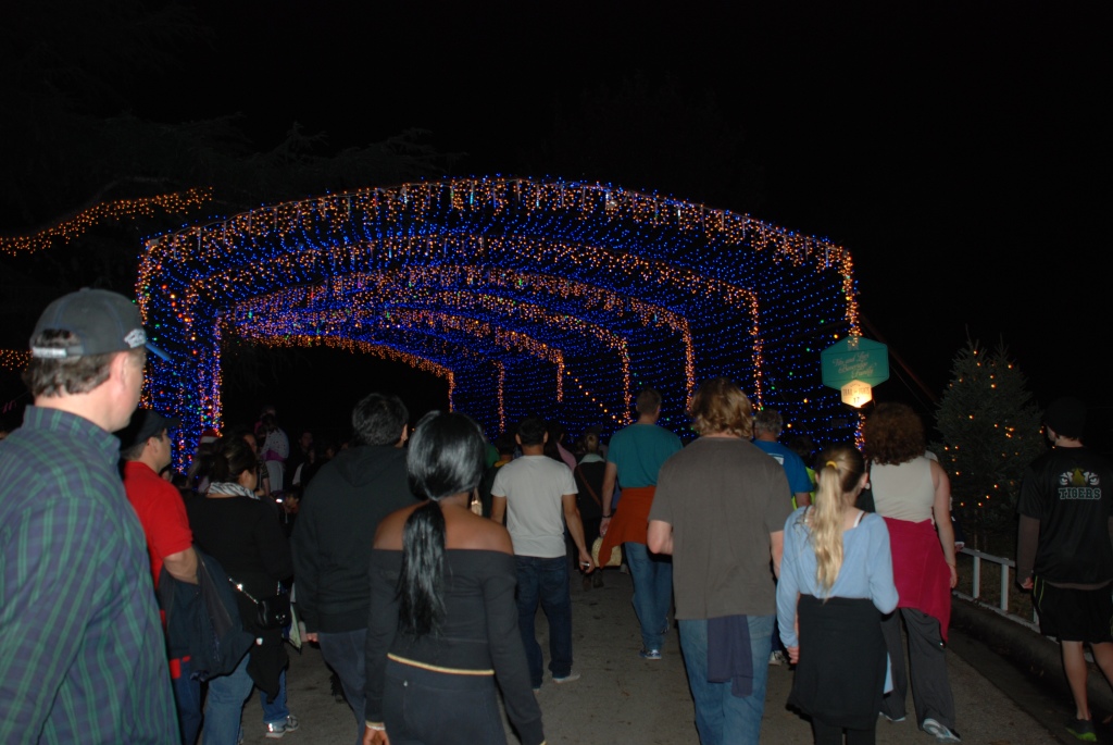 2013-12-20 20-38-11 Trail of Lights.jpg